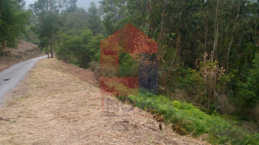 Terreno para Venda em Aboim da Nóbrega e Gondomar