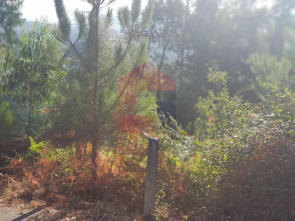 Terreno para Venda em Gême Foto 4