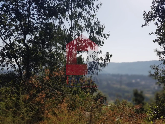 Terreno para Venda em Gême Foto 7