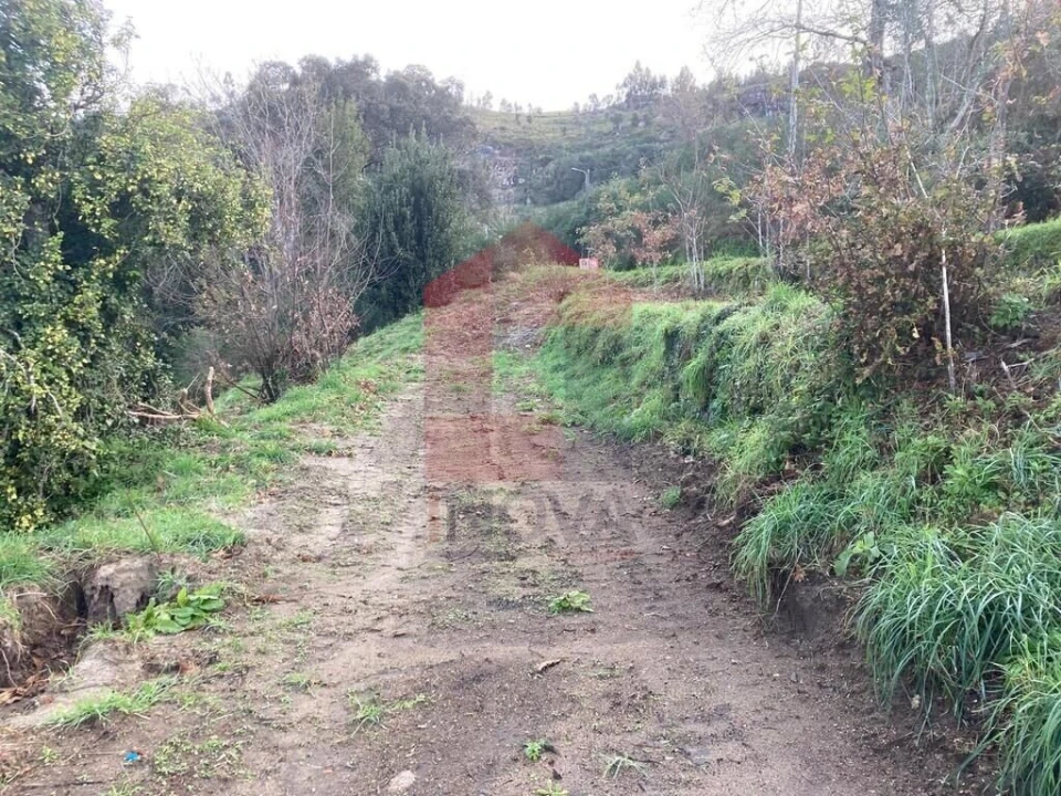 Terreno para Venda em Coucieiro Foto 25