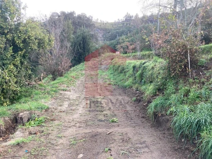 Terreno para Venda em Coucieiro Foto 25