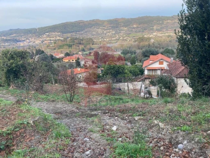 Terreno para Venda em Coucieiro Foto 27