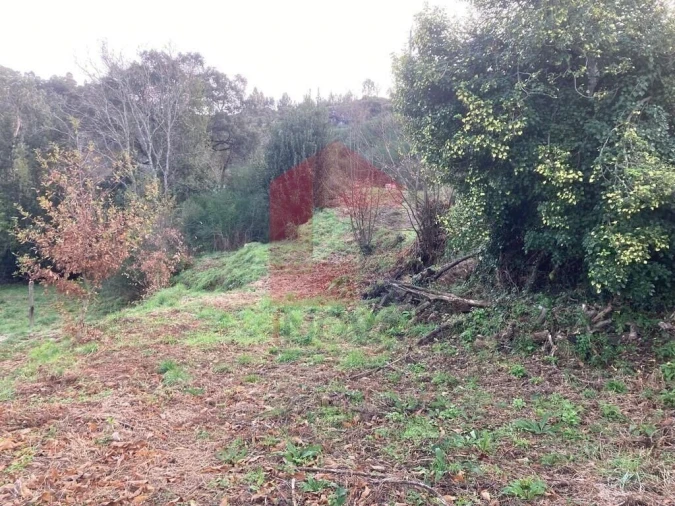 Terreno para Venda em Coucieiro Foto 20