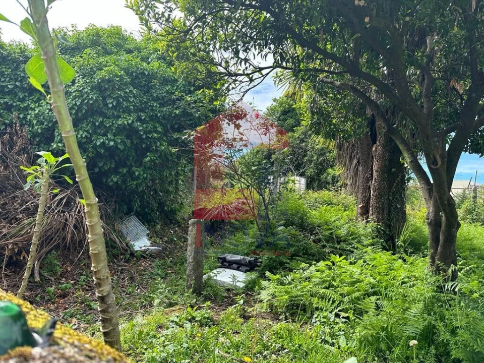 Terreno para Venda em Vila Verde e Barbudo Foto 4