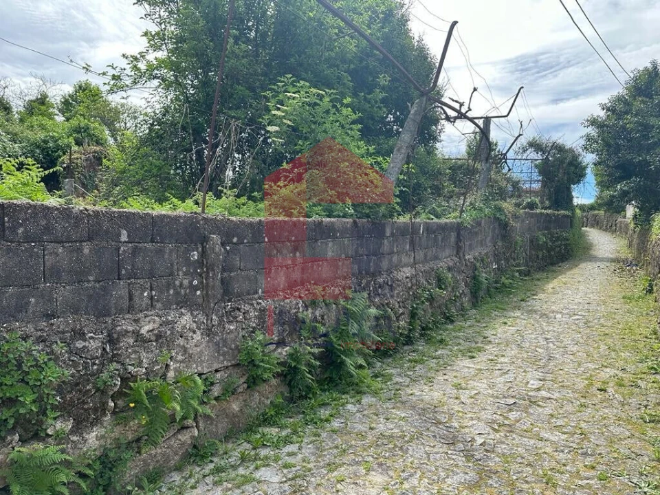 Terreno para Venda em Vila Verde e Barbudo Foto 3
