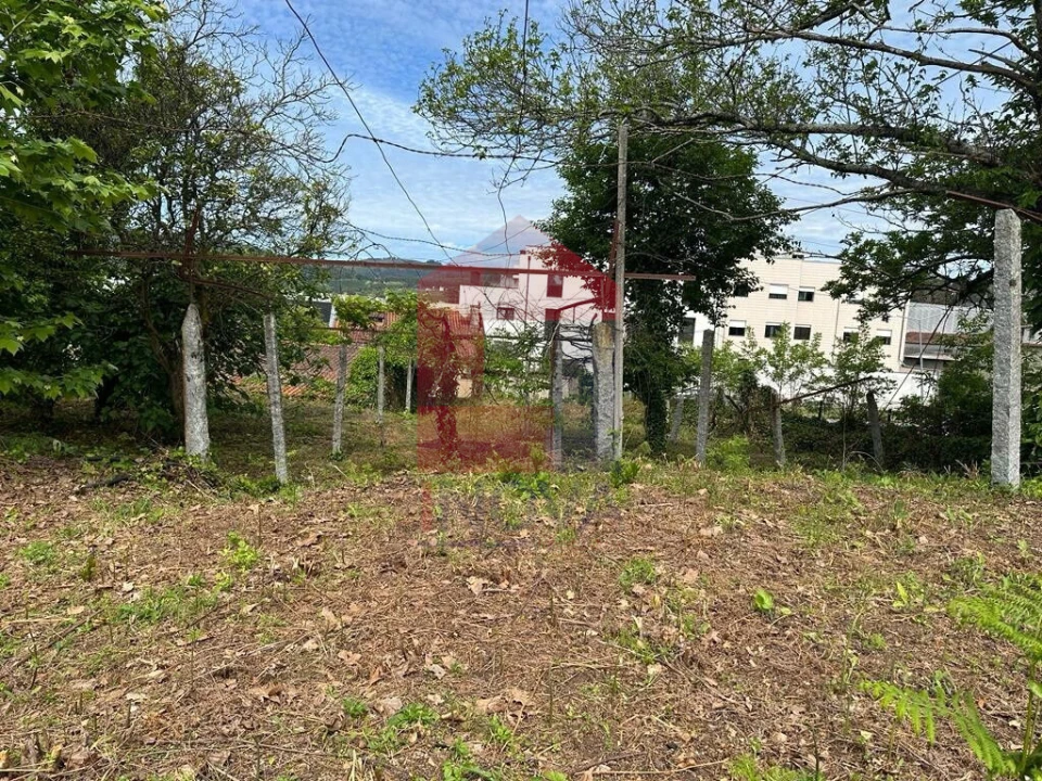 Terreno para Venda em Vila Verde e Barbudo Foto 2