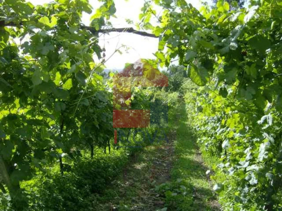 Terreno para Venda em Coucieiro Foto 2