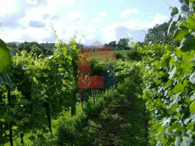 Terreno para Venda em Coucieiro Foto 3