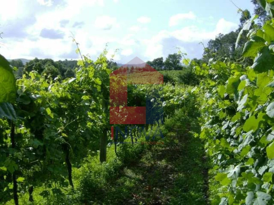 Terreno para Venda em Coucieiro Foto 3