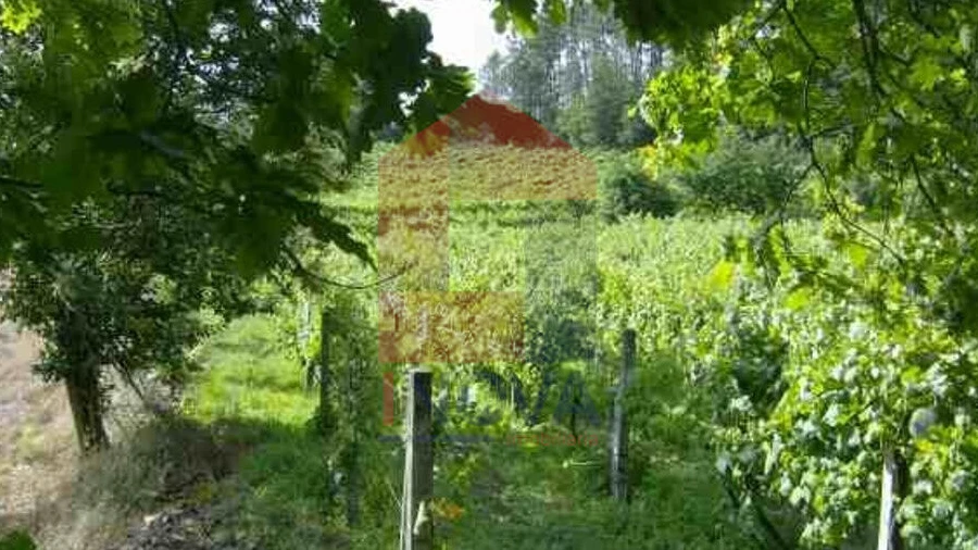 Terreno para Venda em Coucieiro