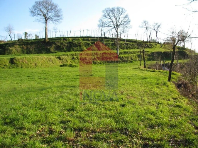 Terreno para Venda em Aboim da Nóbrega e Gondomar Foto 3