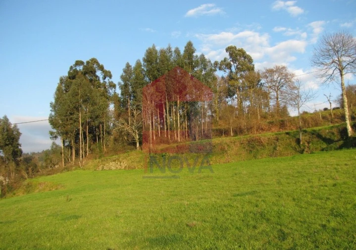 Terreno para Venda em Aboim da Nóbrega e Gondomar Foto 11