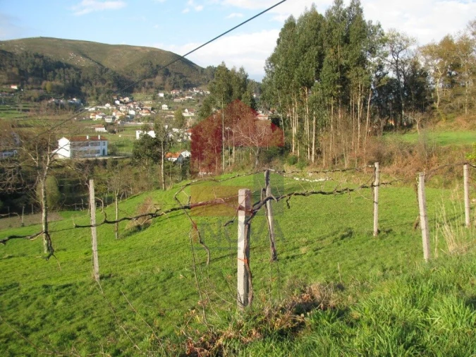 Terreno para Venda em Aboim da Nóbrega e Gondomar Foto 9