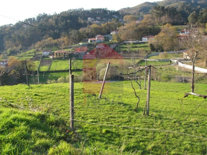 Terreno para Venda em Aboim da Nóbrega e Gondomar Foto 6