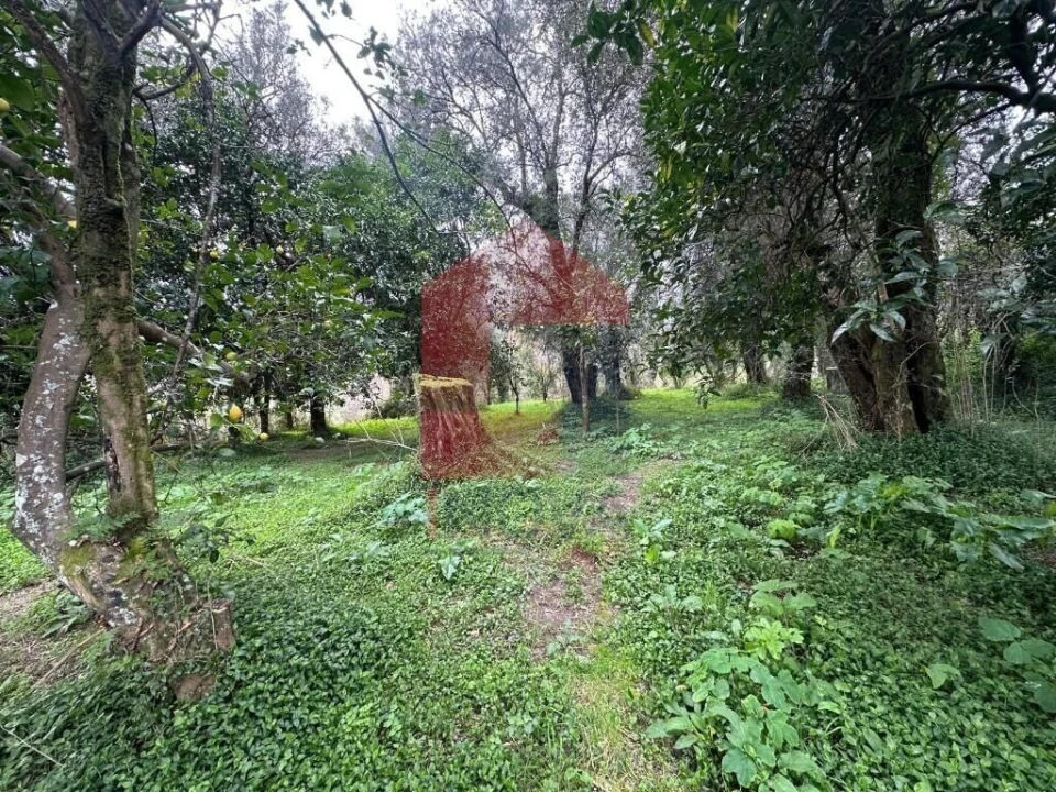 Quinta T5 para Venda em Valdreu Foto 47