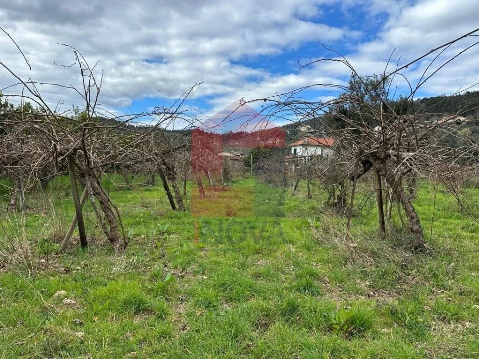 Quinta T5 para Venda em Valdreu Foto 38