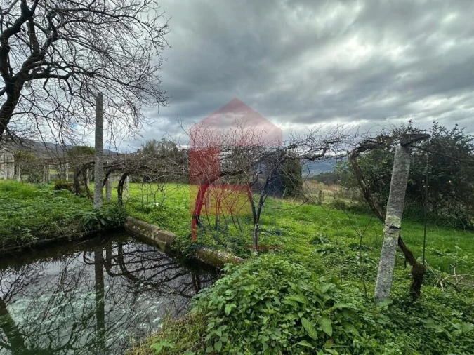 Quinta T5 para Venda em Valdreu Foto 54