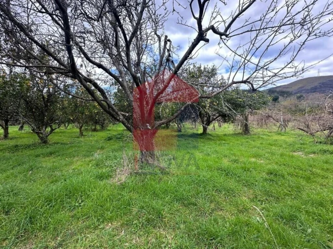 Quinta T5 para Venda em Valdreu Foto 34