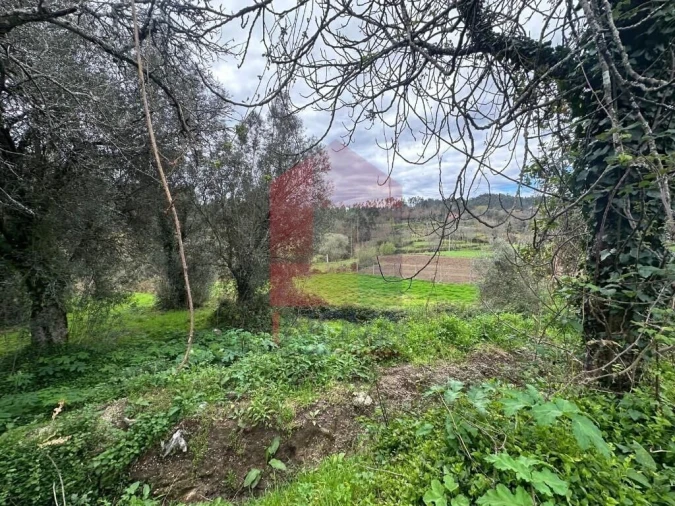 Quinta T5 para Venda em Valdreu Foto 42