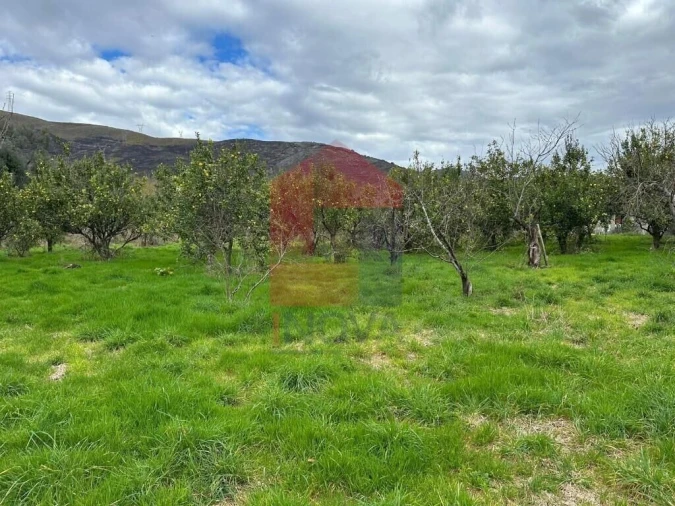 Quinta T5 para Venda em Valdreu Foto 55