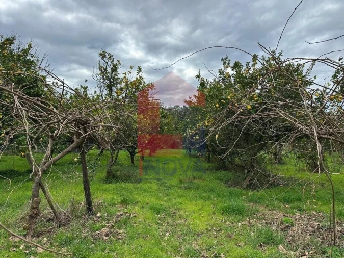 Quinta T5 para Venda em Valdreu Foto 40