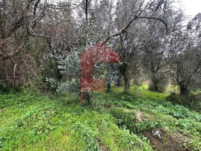 Quinta T5 para Venda em Valdreu Foto 43