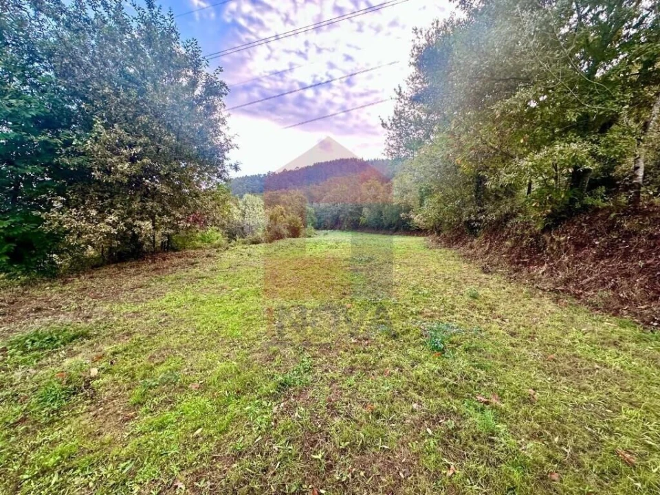 Terreno para Venda em Moimenta Foto 2