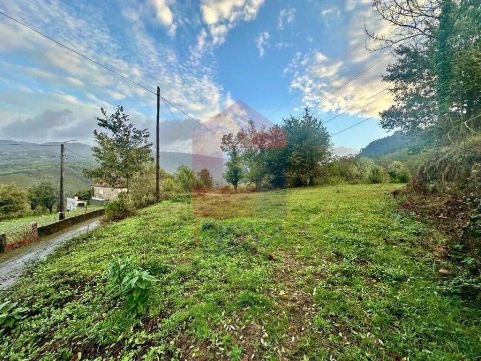 Terreno para Venda em Moimenta Foto 4