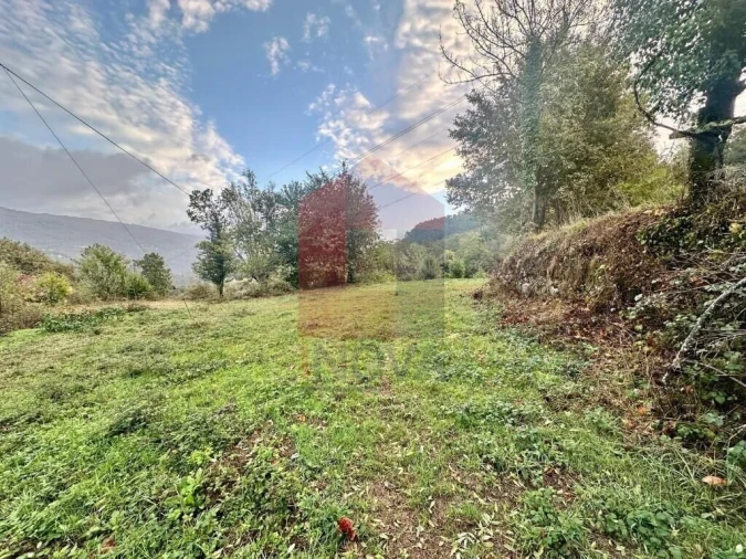 Terreno para Venda em Moimenta Foto 8