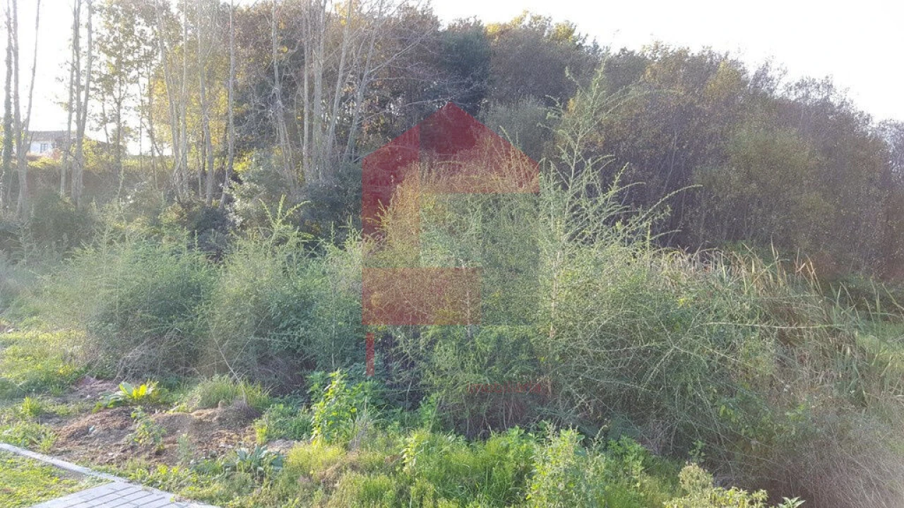 Terreno para Venda em Vila Verde e Barbudo Foto 8