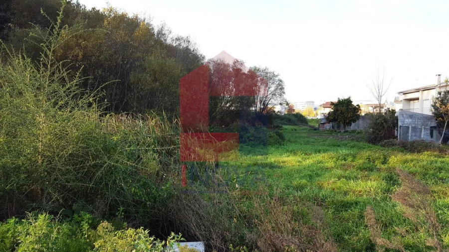 Terreno para Venda em Vila Verde e Barbudo Foto 7