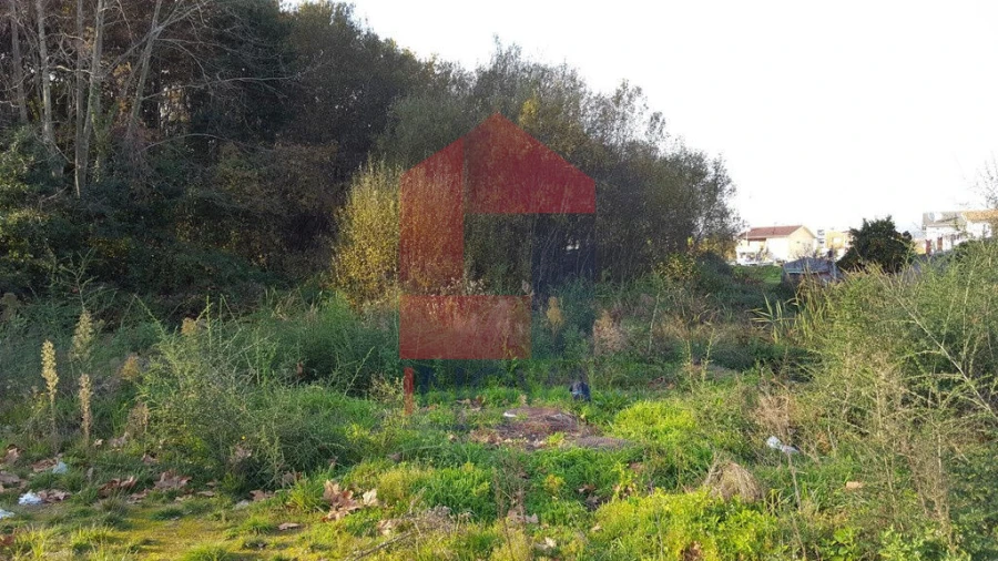 Terreno para Venda em Vila Verde e Barbudo Foto 10