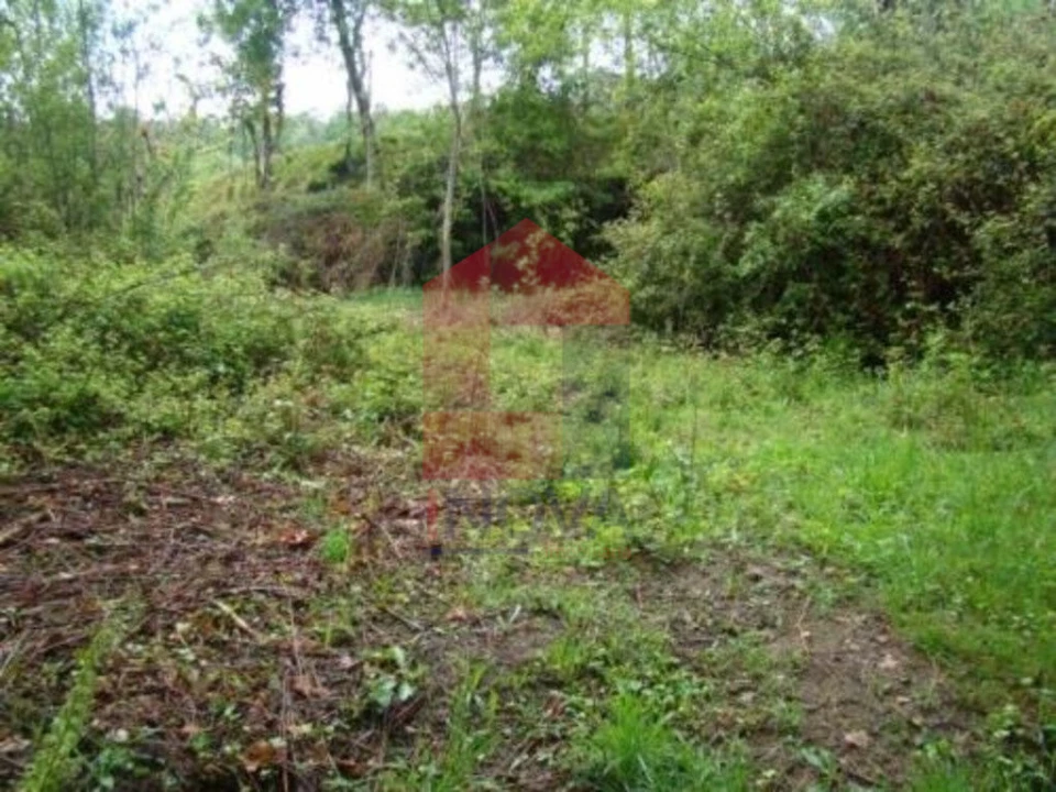 Terreno para Venda em Valdreu Foto 1