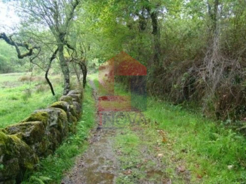 Terreno para Venda em Valdreu Foto 4