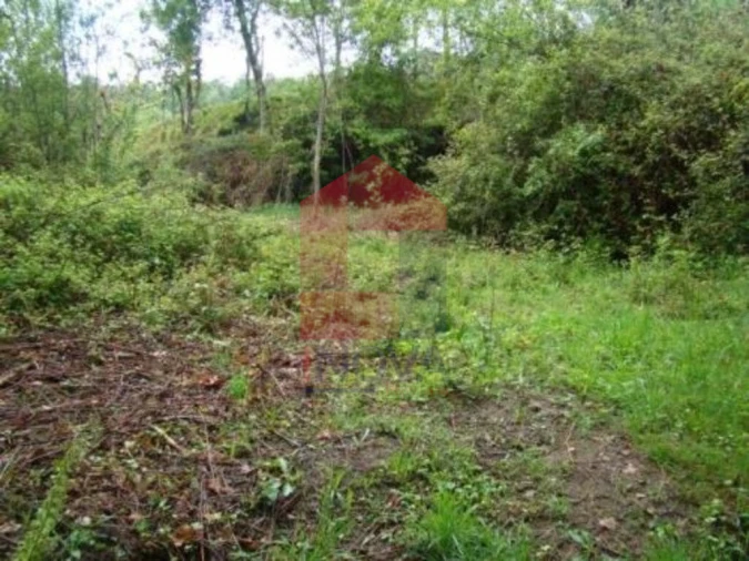 Terreno para Venda em Valdreu Foto 1