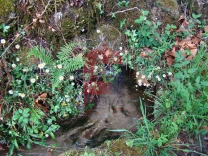Terreno para Venda em Valdreu Foto 5