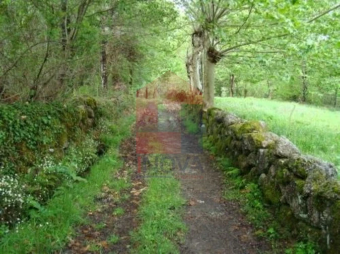 Terreno para Venda em Valdreu Foto 3