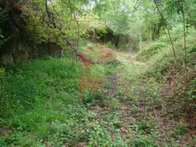 Terreno para Venda em Valdreu Foto 2