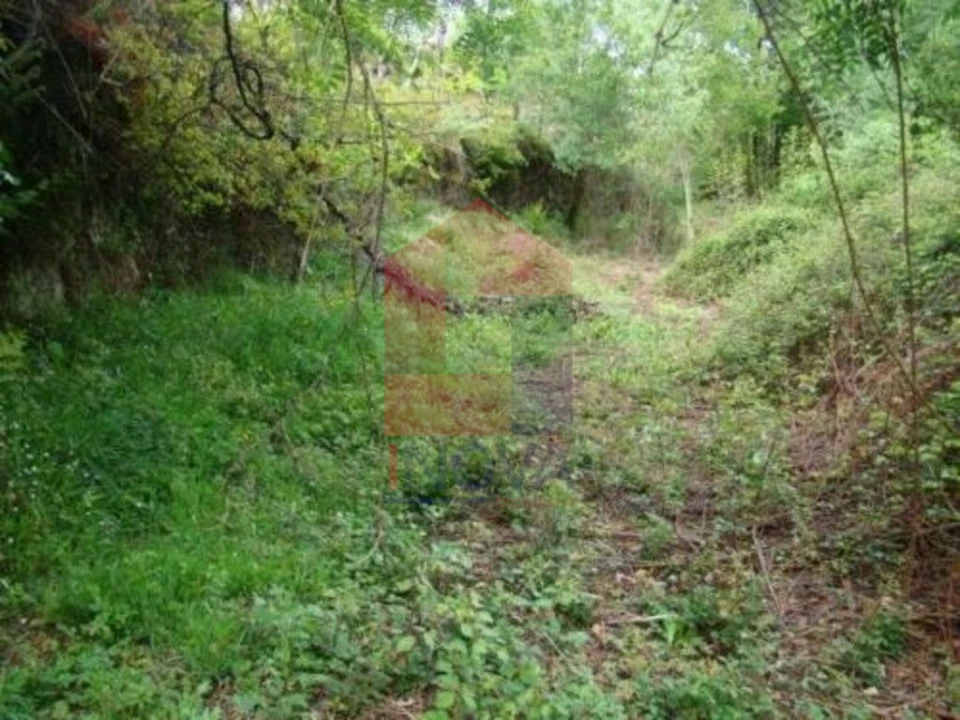 Terreno para Venda em Valdreu Foto 2