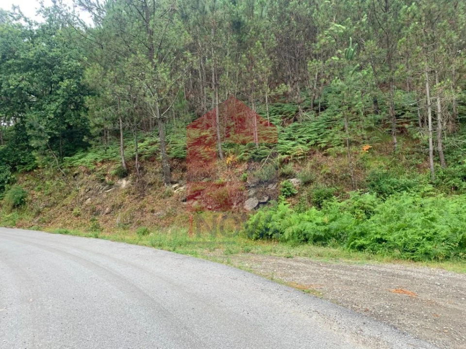 Terreno para Venda em Caires Foto 1