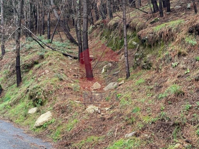Terreno para Venda em Caires Foto 4