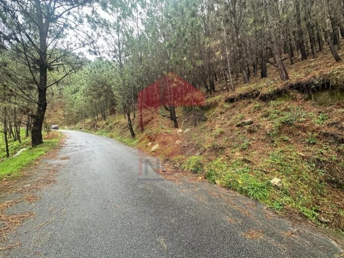 Terreno para Venda em Caires Foto 10