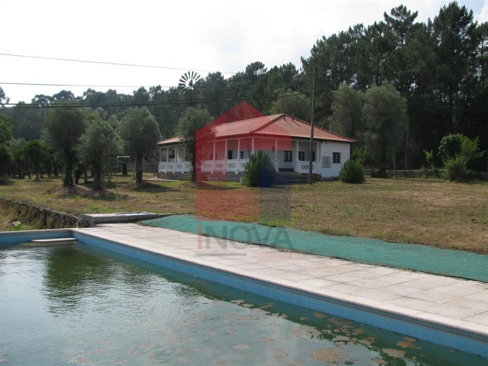 Quinta T13 para Venda em Coucieiro Foto 19