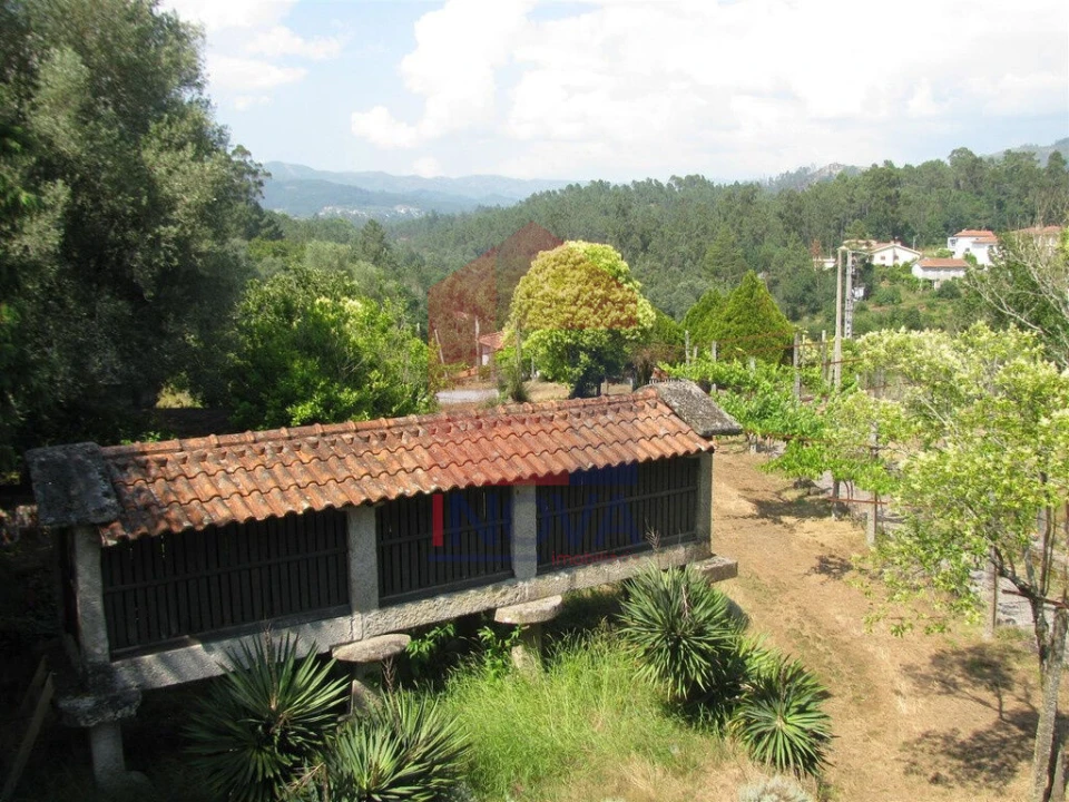 Quinta T13 para Venda em Coucieiro Foto 11