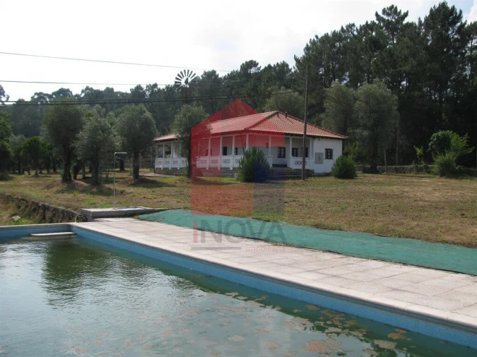 Quinta T13 para Venda em Coucieiro Foto 19