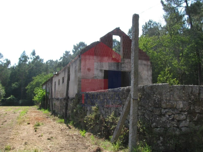 Quinta T13 para Venda em Coucieiro Foto 38