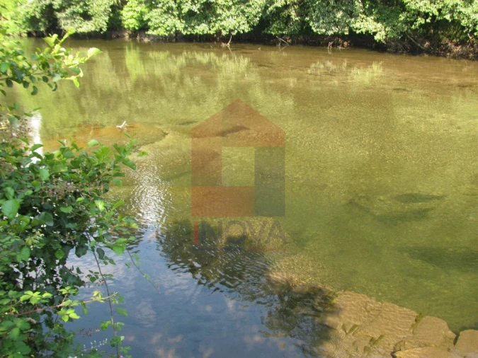 Quinta T13 para Venda em Coucieiro Foto 45