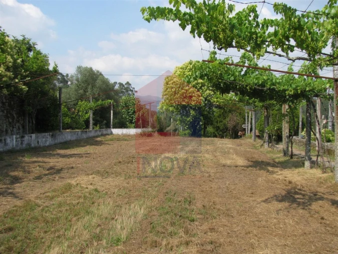 Quinta T13 para Venda em Coucieiro Foto 47