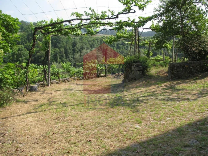 Quinta T13 para Venda em Coucieiro Foto 50