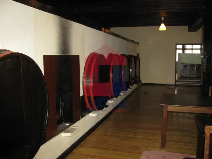 Quinta T13 para Venda em Coucieiro Foto 9